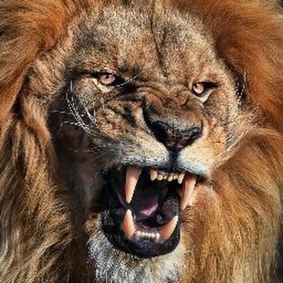 Meet your Posher, Kenneth - Picture 1 of 1